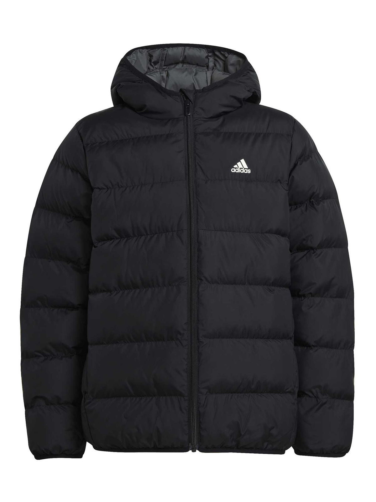 ADIDAS SPORTSWEAR Яке Synthetic Down Jacket