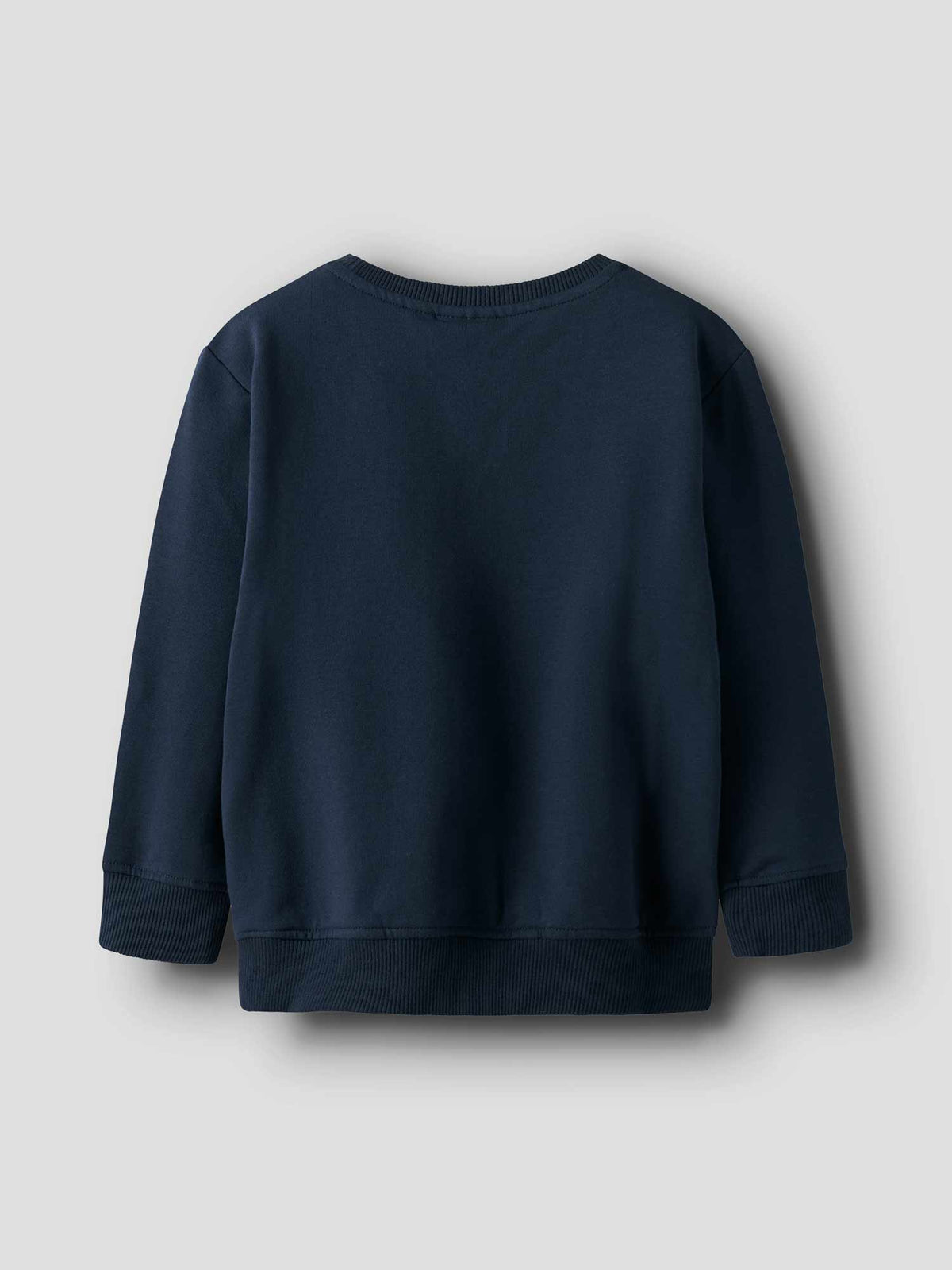 NAME IT Блуза NMMRIGUNA LS NREG SWEAT BRU BOX