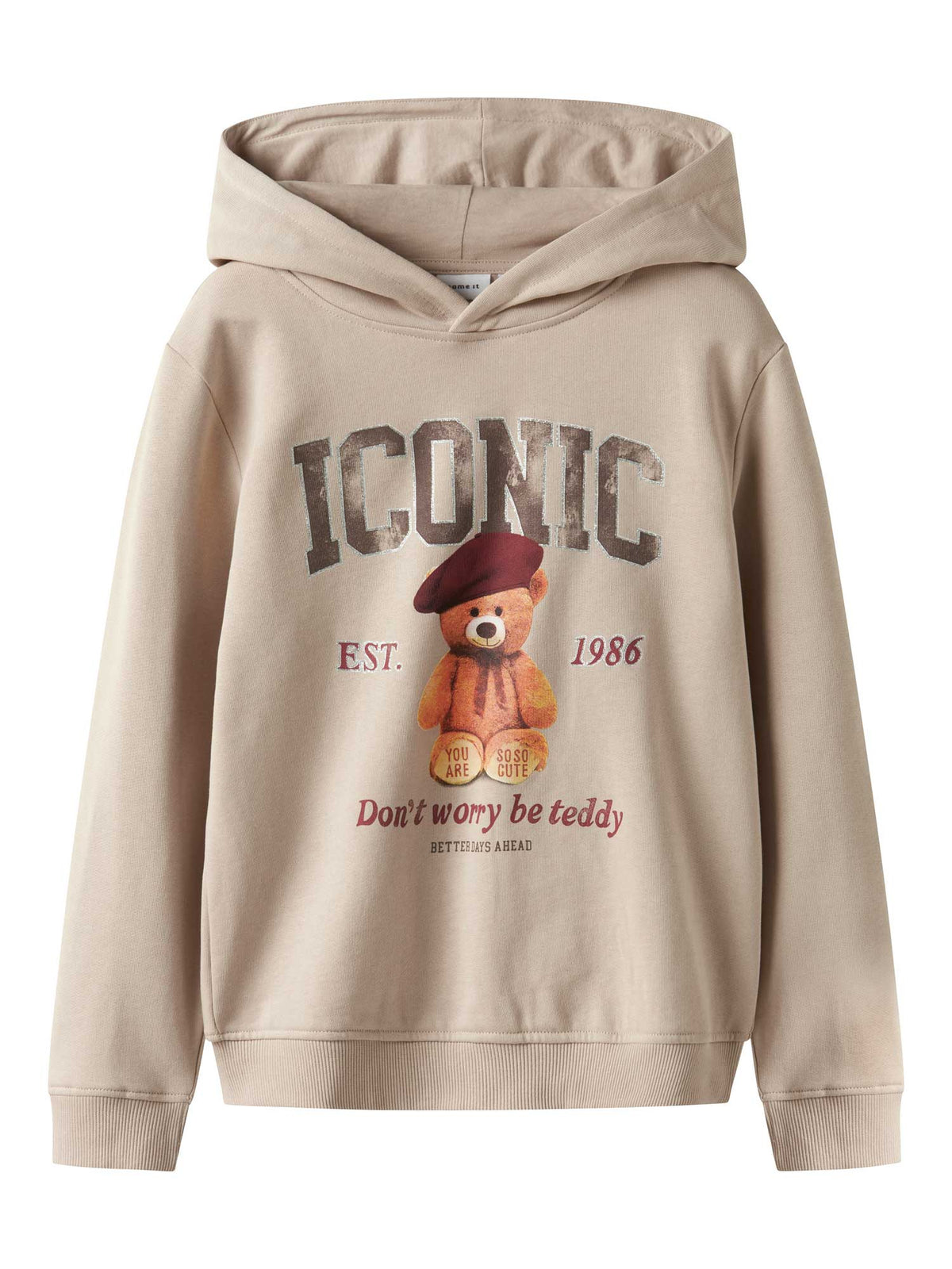 NAME IT Суитшърт NKFRYCCA LS NREG SWEAT WH BRU BOX